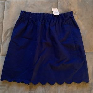 Jcrew skirt size 4
